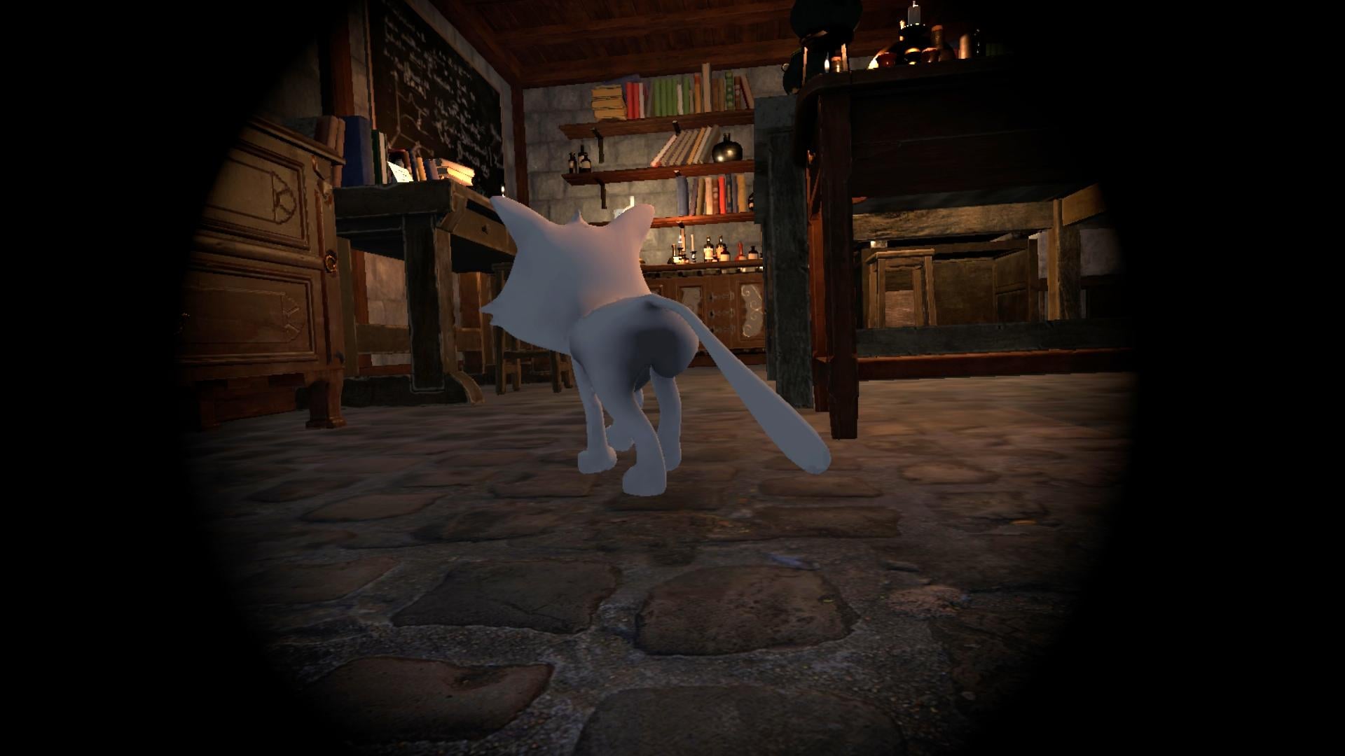 Feature Image